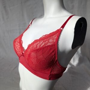 Chic Scarlet Lace Bra